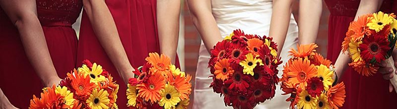 Fall wedding ideas. Event venues on the San Francisco Bay.